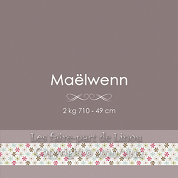 Maelwenn_Recto_PG_LFPDL_BLog