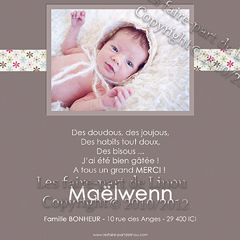 Maelwenn_VERSO_remerciements_LFPDL_BLOG